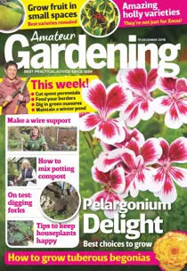 15th December 2018 
                issue 15th December 2018