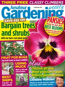 15th November 2014 
                issue 15th November 2014