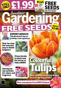 16-Oct-2021 
                issue 16-Oct-2021