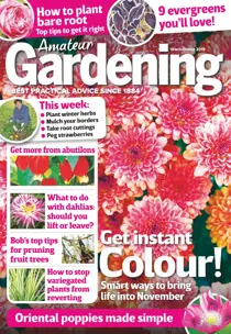 16th November 2019 
                issue 16th November 2019