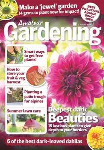 17th August 2019 
                issue 17th August 2019