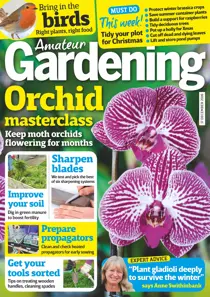 17th December 2016 
                issue 17th December 2016