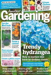 17th June 2017 
                issue 17th June 2017