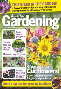 17th March 2018 
                issue 17th March 2018