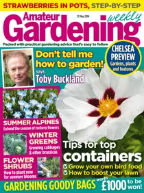 17th May 2014 
                issue 17th May 2014