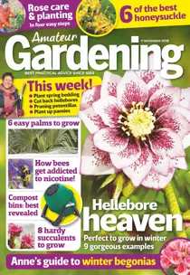 17th November 2018 
                issue 17th November 2018