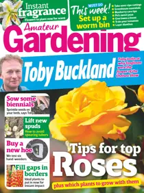 18th June 2016 
                issue 18th June 2016