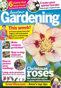 18th November 2017 
                issue 18th November 2017