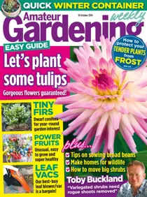 18th October 2014 
                issue 18th October 2014