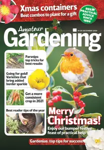 19-Dec-2020 
                issue 19-Dec-2020