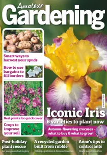 19th August 2017 
                issue 19th August 2017