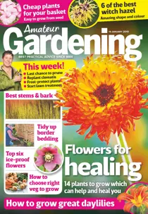 19th January 2019 
                issue 19th January 2019