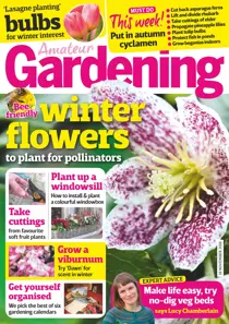 19th November 2016 
                issue 19th November 2016