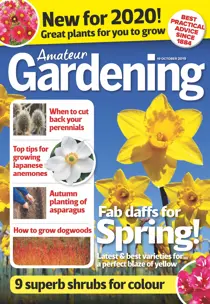 19th October 2019 
                issue 19th October 2019