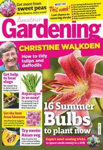 1st April 2017 
                issue 1st April 2017