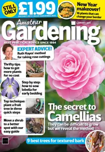 1st January 2022 
                issue 1st January 2022