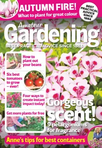 1st June 2019 
                issue 1st June 2019