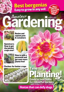 20-Mar-2021 
                issue 20-Mar-2021