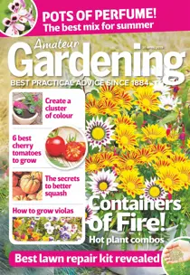 20th April 2019 
                issue 20th April 2019