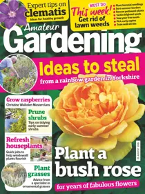 20th August 2016 
                issue 20th August 2016