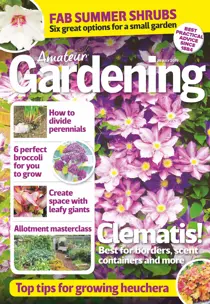 20th July 2019 
                issue 20th July 2019