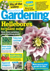 21st January 2017 
                issue 21st January 2017