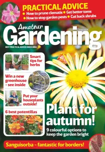 21st July 2018 
                issue 21st July 2018