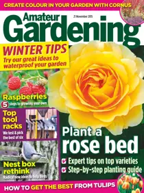 21st November 2015 
                issue 21st November 2015