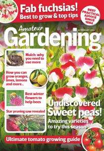 22-Feb-2020 
                issue 22-Feb-2020