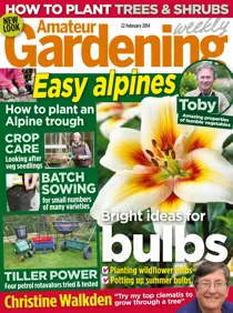 22nd February 2014 
                issue 22nd February 2014