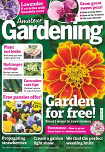 22nd July 2017 
                issue 22nd July 2017