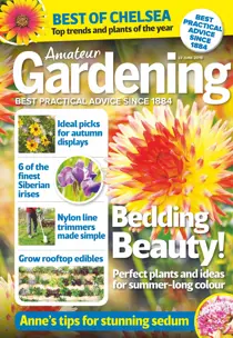 22nd June 2019 
                issue 22nd June 2019