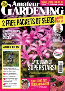 23-Aug-25 
                issue 23-Aug-25
