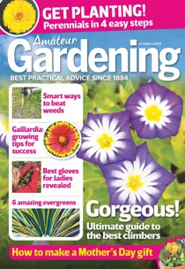 23rd March 2019 
                issue 23rd March 2019