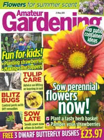 23rd May 2015 
                issue 23rd May 2015