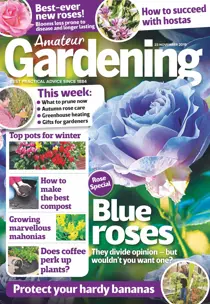 23rd November 2019 
                issue 23rd November 2019