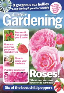 24th August 2019 
                issue 24th August 2019