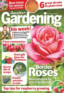 24th November 2018 
                issue 24th November 2018