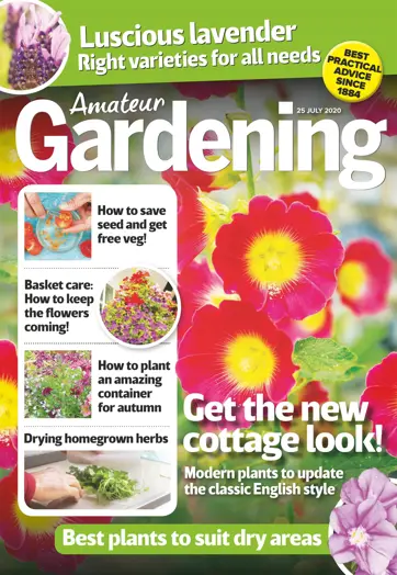 Amateur Gardening Preview