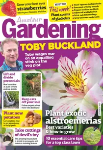 25th March 2017 
                issue 25th March 2017