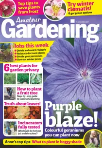 25th November 2017 
                issue 25th November 2017