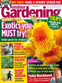 25th October 2014 
                issue 25th October 2014