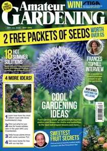 26-Jul-25 
                issue 26-Jul-25