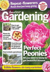 27-Jun-2020 
                issue 27-Jun-2020