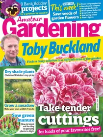 27th August 2016 
                issue 27th August 2016