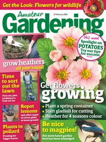 27th February 2016 
                issue 27th February 2016