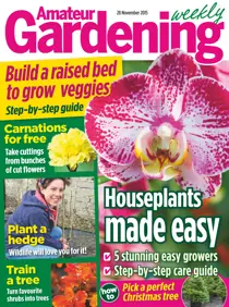 28th November 2015 
                issue 28th November 2015