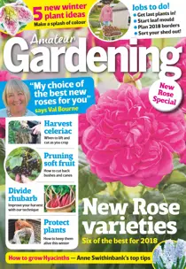 28th October 2017 
                issue 28th October 2017