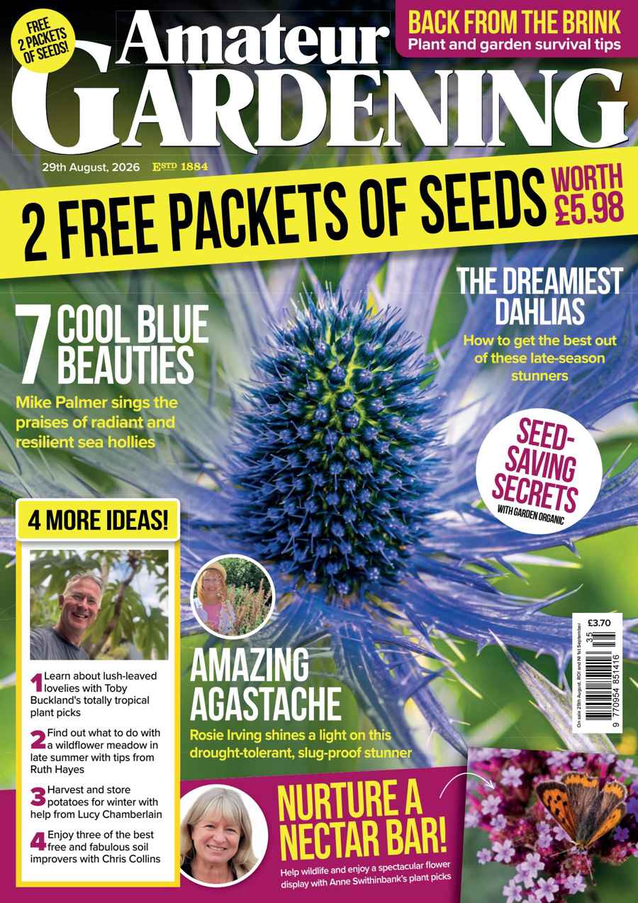 Amateur Gardening issue 29 August 2026