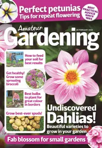 29-Feb-2020 
                issue 29-Feb-2020